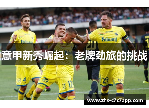 意甲新秀崛起：老牌劲旅的挑战