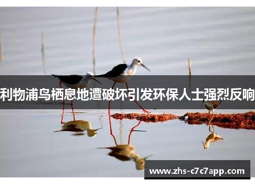 利物浦鸟栖息地遭破坏引发环保人士强烈反响